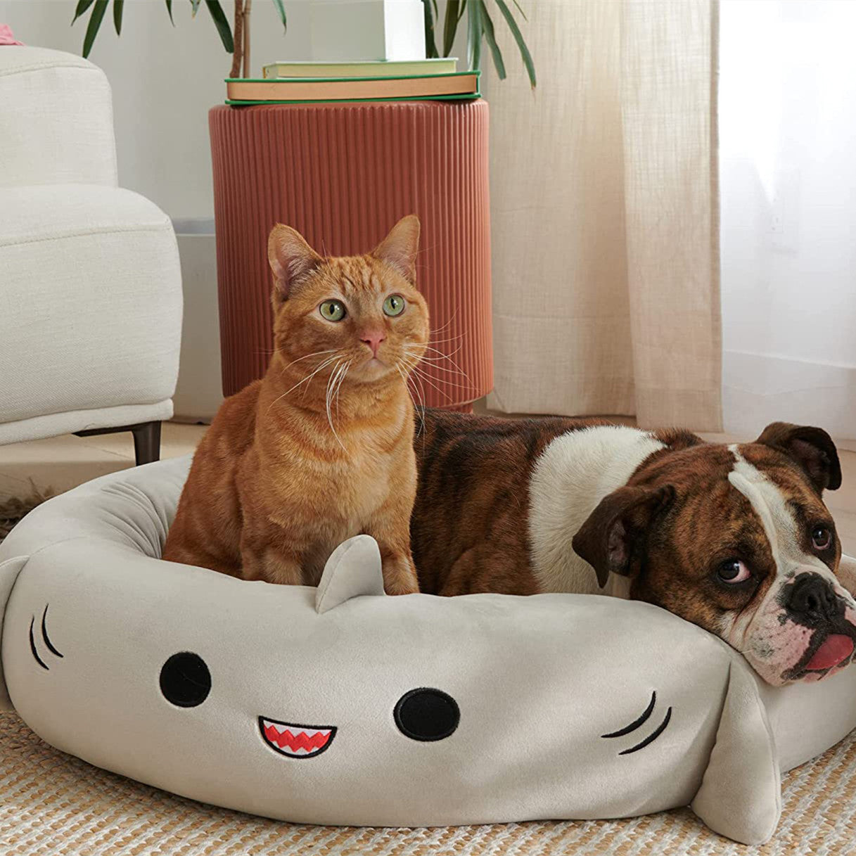 PET BEDS
