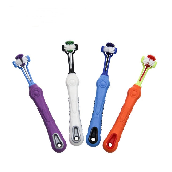 PetDentalCare