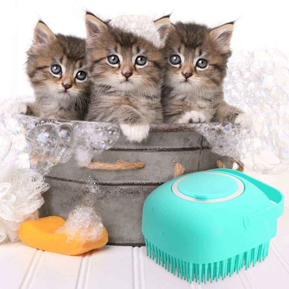 SoftBristleBrush