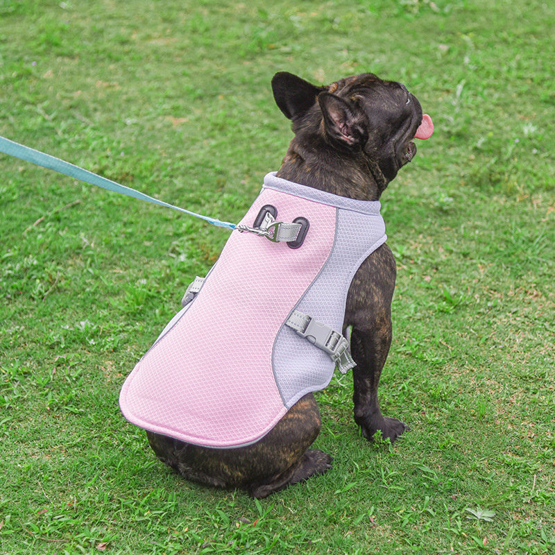 CoolPupGear
