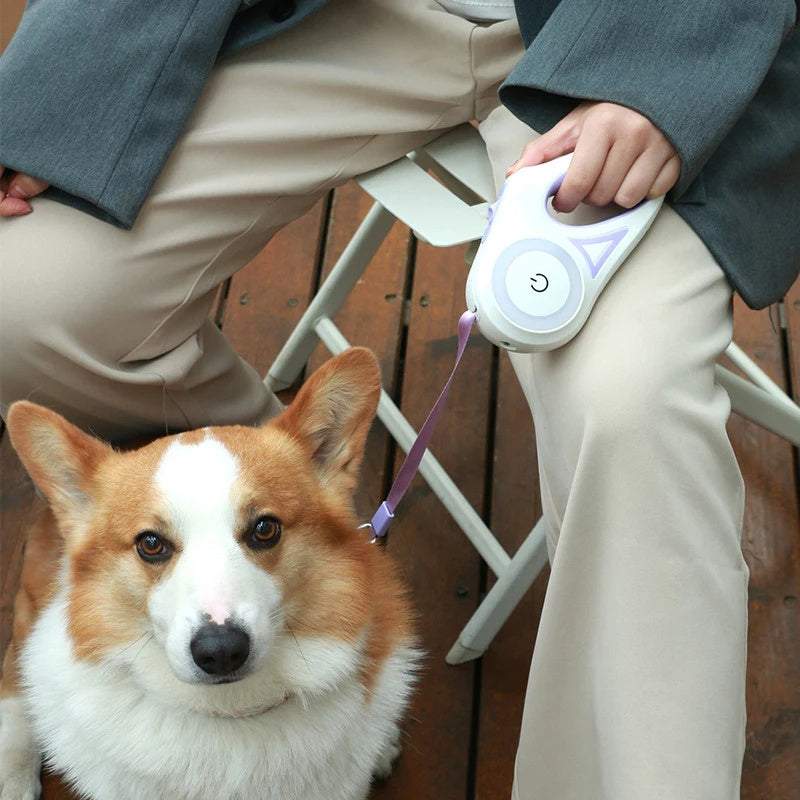 DogWalkingGear