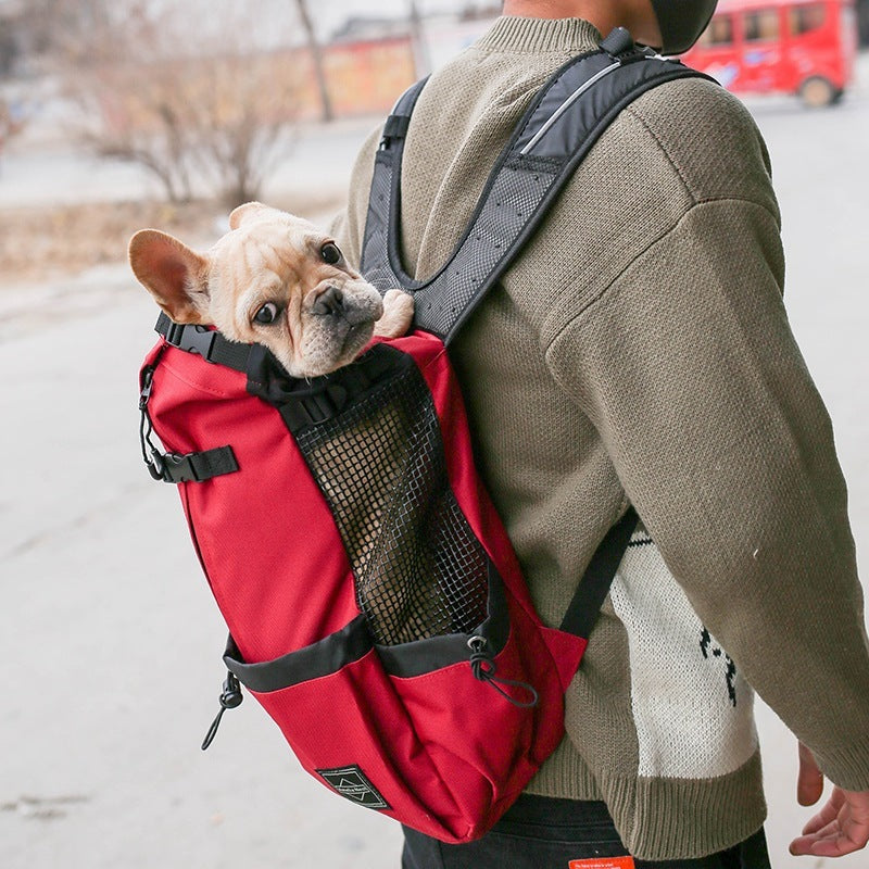 TravelWithPets