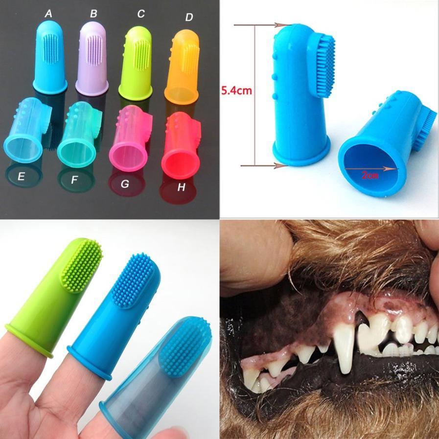 PetToothbrush