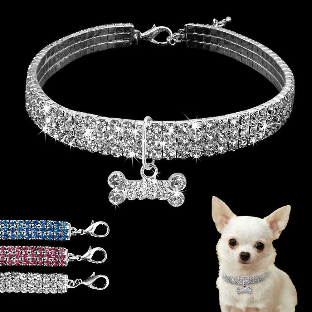 GlamPetStyle