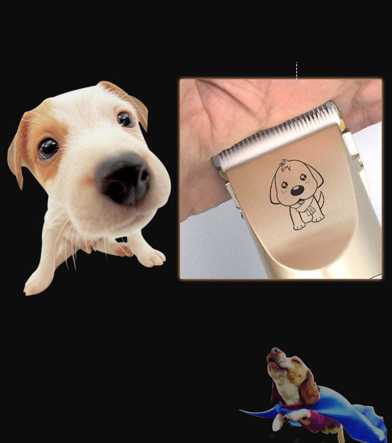 PawsitivelyNeat