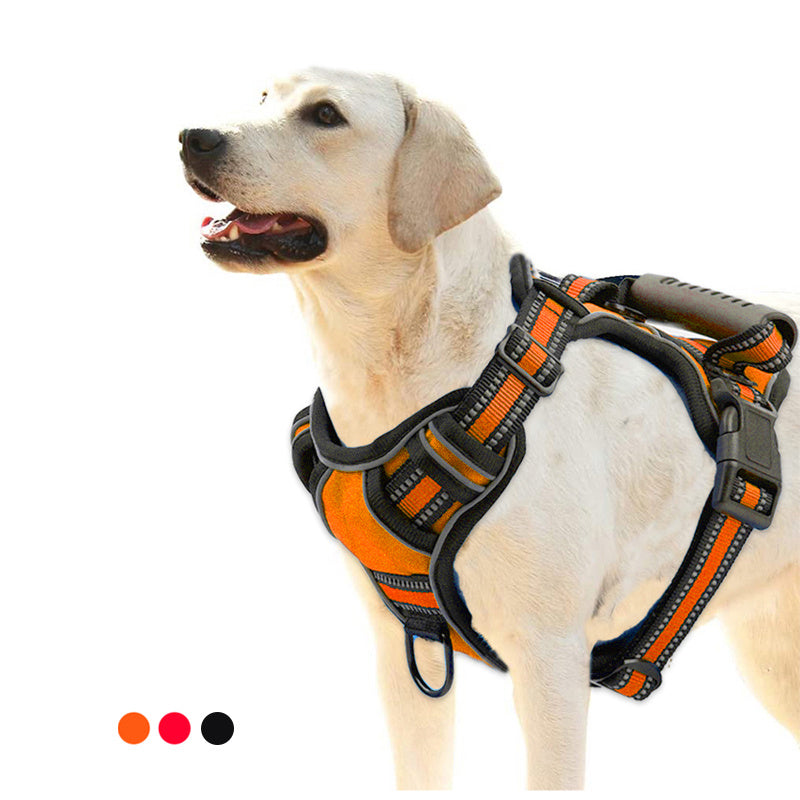 SafeWalks