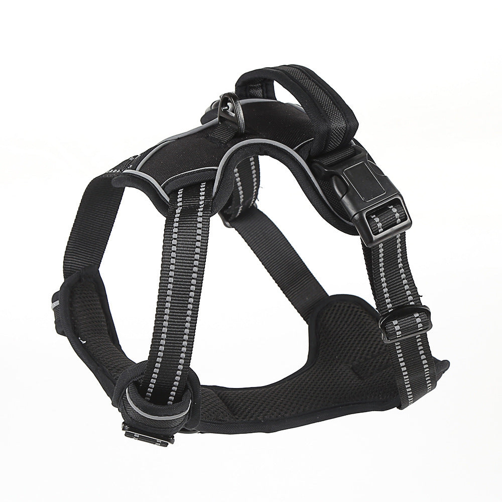 DogSafetyGear