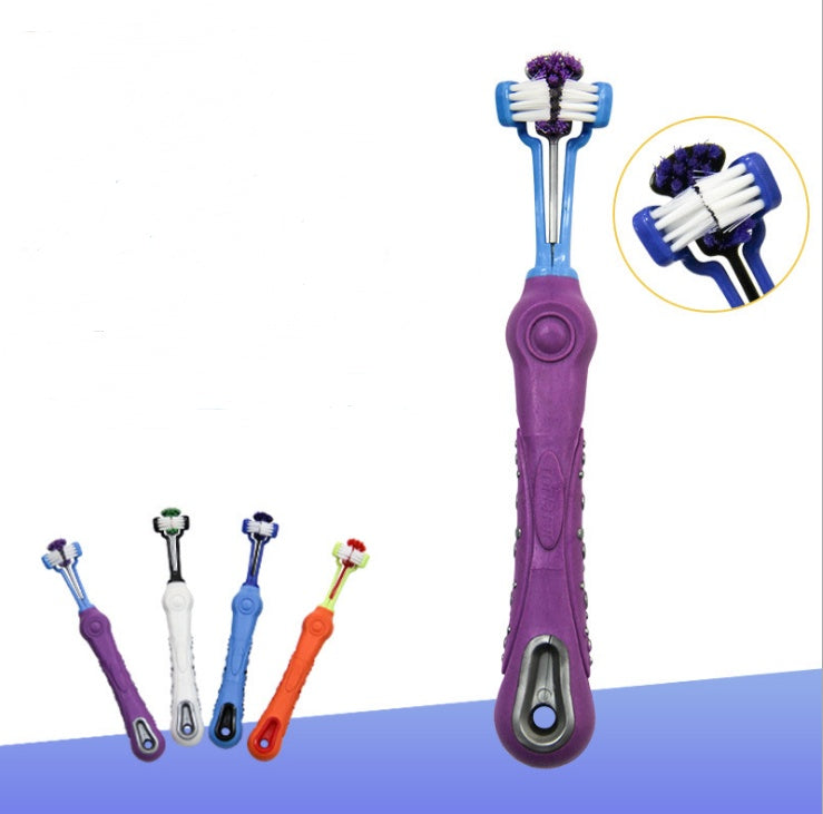 PetDentalCare