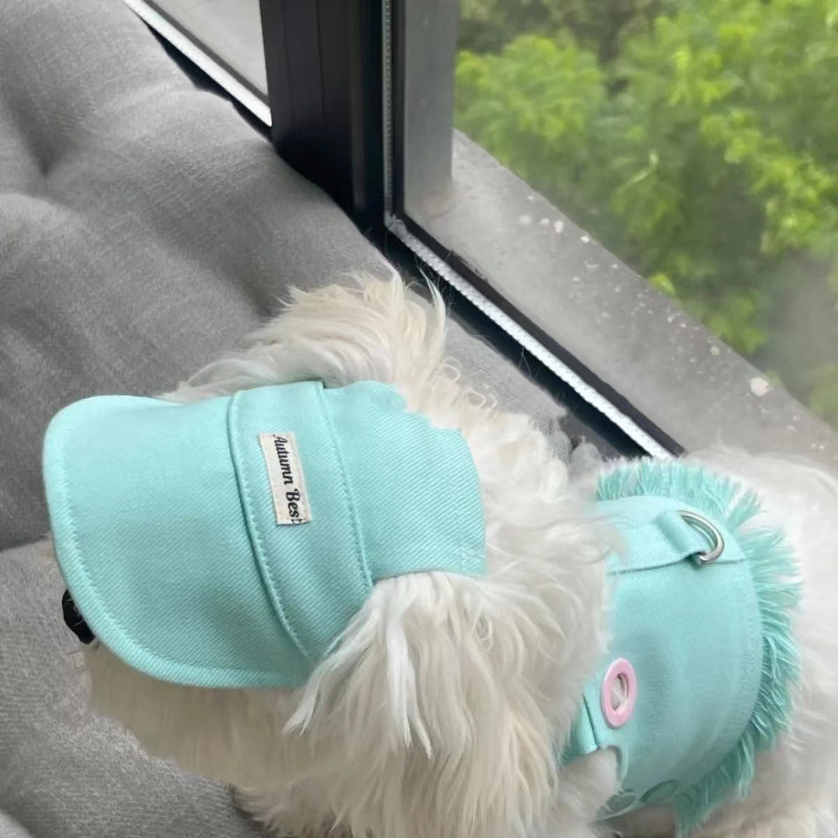 Pet Clothes Candy Color Denim Vest