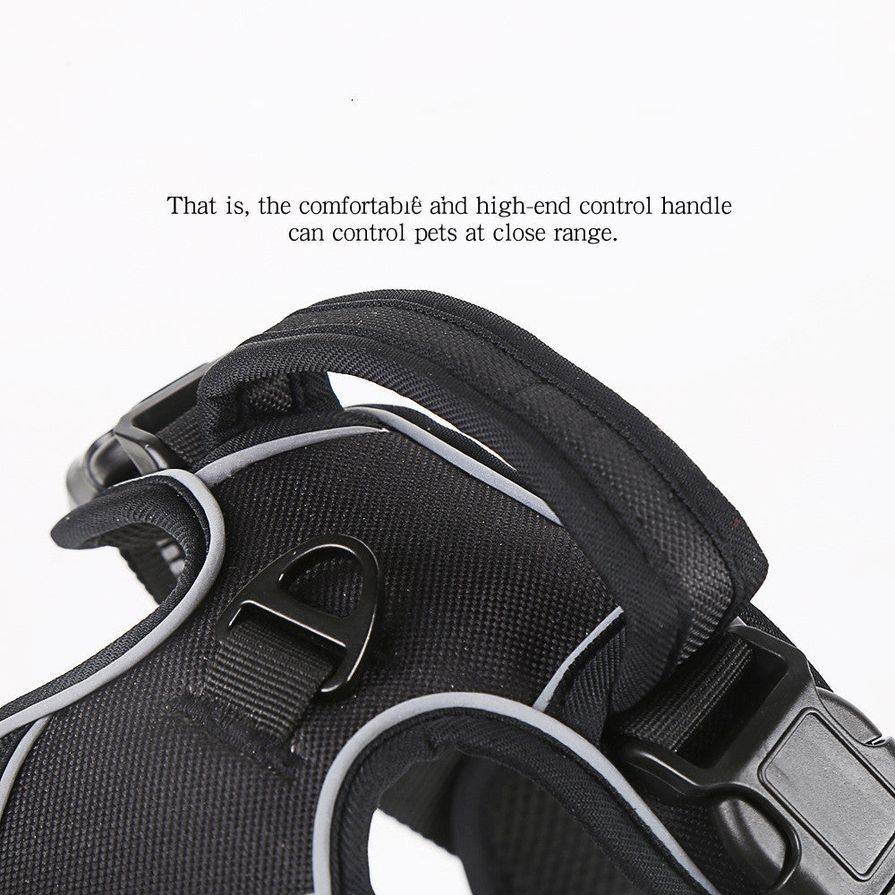 NoPullHarness