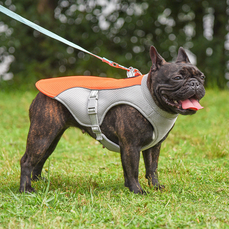 BreathablePetVest